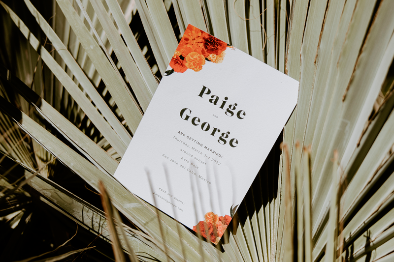 Invitation for Paige and George's Wedding in Los Cabos