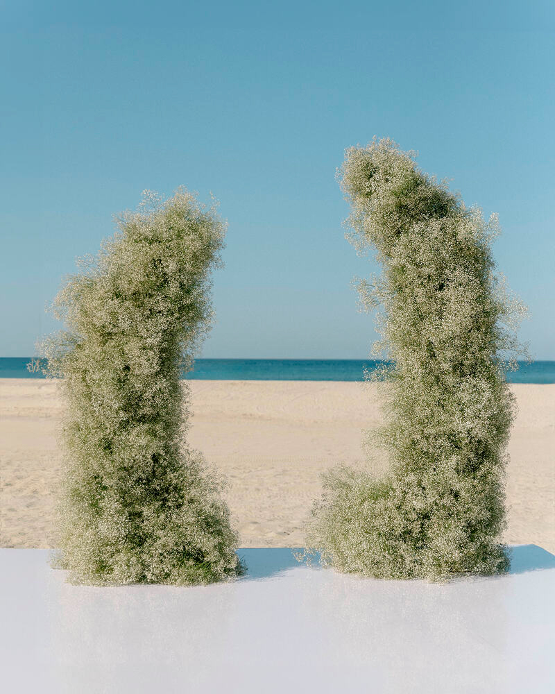 Wedding Arch made of Baby's Breath