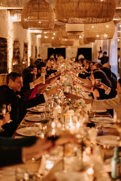 Guests making a toast at wedding reception in Los Cabos