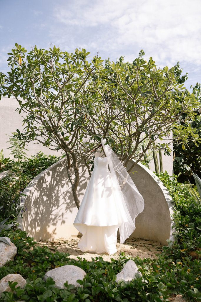 Bella´s Wedding Dress Hanging on a Tree
